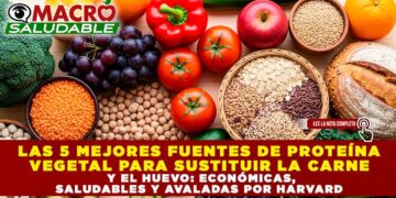 LAS 5 MEJORES FUENTES DE PROTEÍNA VEGETAL PARA SUSTITUIR LA CARNE Y EL HUEVO: ECONÓMICAS, SALUDABLES Y AVALADAS POR HARVARD