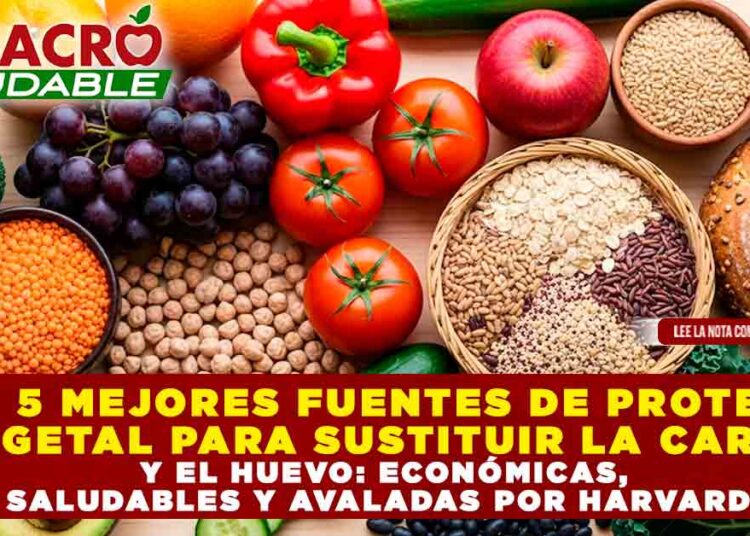 LAS 5 MEJORES FUENTES DE PROTEÍNA VEGETAL PARA SUSTITUIR LA CARNE Y EL HUEVO: ECONÓMICAS, SALUDABLES Y AVALADAS POR HARVARD