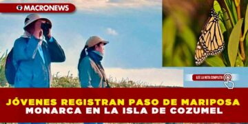 JÓVENES REGISTRAN PASO DE MARIPOSA MONARCA EN LA ISLA DE COZUMEL