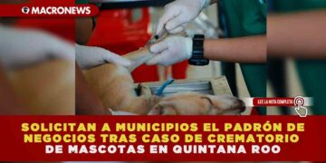 SOLICITAN A MUNICIPIOS EL PADRÓN DE NEGOCIOS TRAS CASO DE CREMATORIO DE MASCOTAS EN QUINTANA ROO