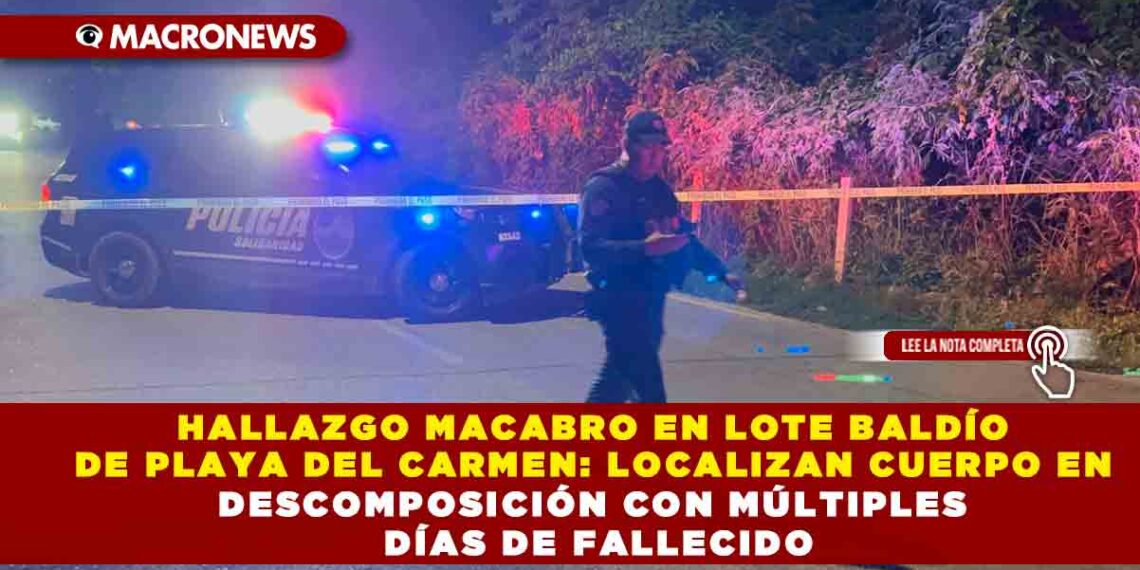 HALLAZGO MACABRO EN LOTE BALDÍO DE PLAYA DEL CARMEN: LOCALIZAN CUERPO EN DESCOMPOSICIÓN CON MÚLTIPLES DÍAS DE FALLECIDO