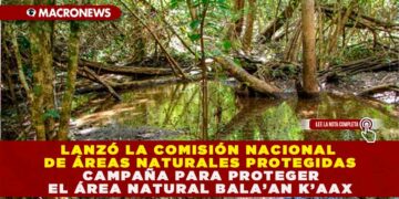 LANZÓ LA COMISIÓN NACIONAL DE ÁREAS NATURALES PROTEGIDAS CAMPAÑA PARA PROTEGER EL ÁREA NATURAL BALA’AN K’AAX