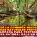 LANZÓ LA COMISIÓN NACIONAL DE ÁREAS NATURALES PROTEGIDAS CAMPAÑA PARA PROTEGER EL ÁREA NATURAL BALA’AN K’AAX