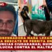 GOBERNADORA MARA LEZAMA CONFIRMA RESCATE DE PERRITA EN CANCÚN TRAS DENUNCIAS CIUDADANAS; QUINTANA ROO REFUERZA LUCHA CONTRA EL MALTRATO ANIMAL