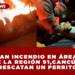 REPORTAN INCENDIO EN ÁREA VERDE DE LA REGIÓN 91 EN CANCÚN; RESCATAN UN PERRITO