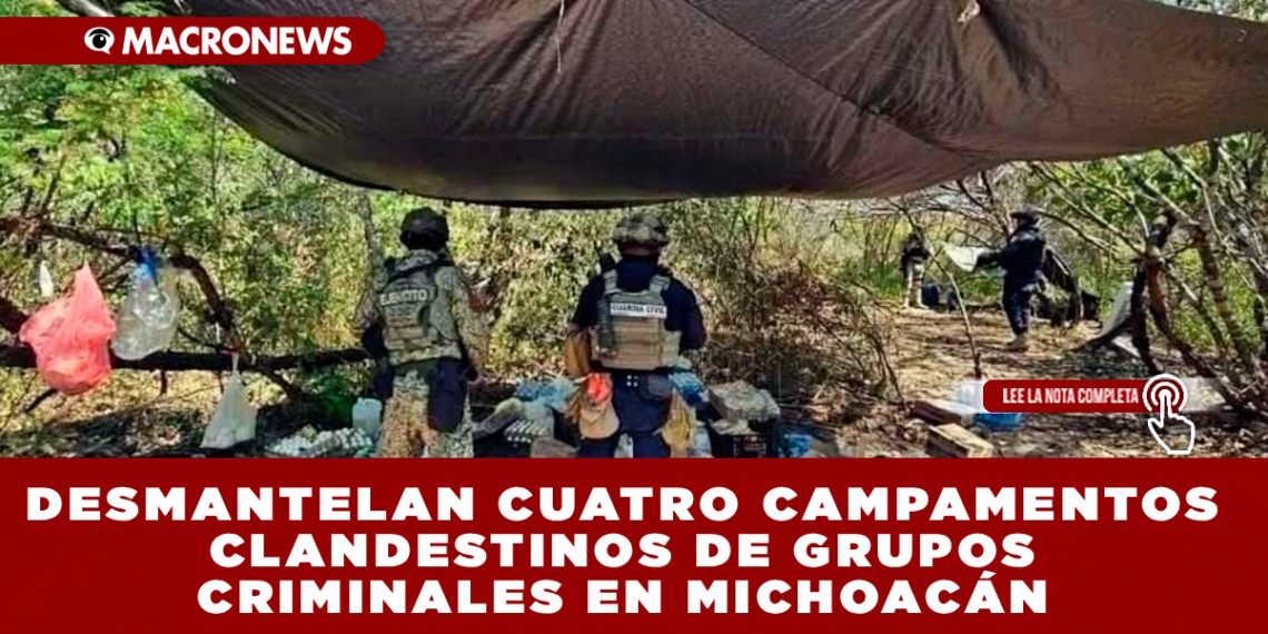 DESMANTELAN CUATRO CAMPAMENTOS CLANDESTINOS DE GRUPOS CRIMINALES EN MICHOACÁN