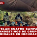 DESMANTELAN CUATRO CAMPAMENTOS CLANDESTINOS DE GRUPOS CRIMINALES EN MICHOACÁN