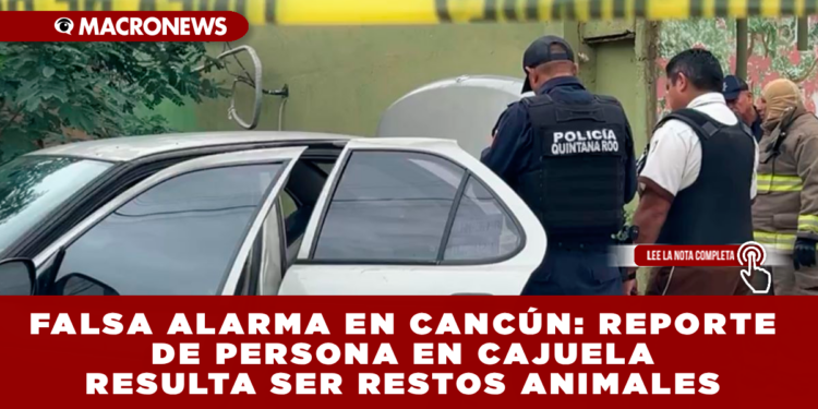 FALSA ALARMA EN CANCÚN: REPORTE DE PERSONA EN CAJUELA RESULTA SER RESTOS ANIMALES
