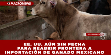 EE. UU. AÚN SIN FECHA PARA REABRIR FRONTERA A IMPORTACIÓN DE GANADO MEXICANO