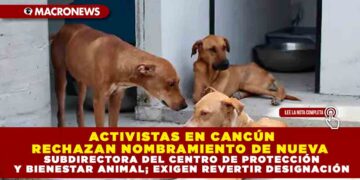 ACTIVISTAS DENUNCIAN NOMBRAMIENTO EN PROTECCIÓN ANIMAL DE CANCÚN: CUESTIONAN PERFIL DE NUEVA SUBDIRECTORA Y EXIGEN REVERTIR DESIGNACIÓN