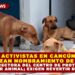 ACTIVISTAS DENUNCIAN NOMBRAMIENTO EN PROTECCIÓN ANIMAL DE CANCÚN: CUESTIONAN PERFIL DE NUEVA SUBDIRECTORA Y EXIGEN REVERTIR DESIGNACIÓN