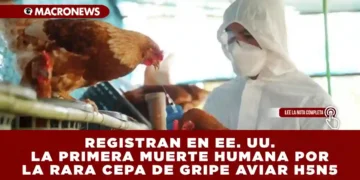 REGISTRAN EN EE. UU. LA PRIMERA MUERTE HUMANA POR LA RARA CEPA DE GRIPE AVIAR H5N5