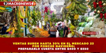 VENTAS SUBEN HASTA 30% EN EL MERCADO 23 POR PONCHE NAVIDEÑO; PREPARARLO CUESTA ENTRE $400 Y $550