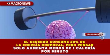 EL CEREBRO CONSUME 20% DE LA ENERGÍA CORPORAL, PERO PENSAR SOLO AUMENTA MENOS DE 1 CALORÍA POR MINUTO