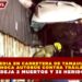 TRAGEDIA EN CARRETERA DE TAMAULIPAS: CHOCA AUTOBÚS CONTRA TRÁILER Y DEJA 2 MUERTOS Y 35 HERIDOS