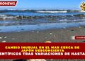 CAMBIO INUSUAL EN EL MAR CERCA DE JAPÓN DESCONCIERTA A CIENTÍFICOS TRAS VARIACIONES DE HASTA 3 °C
