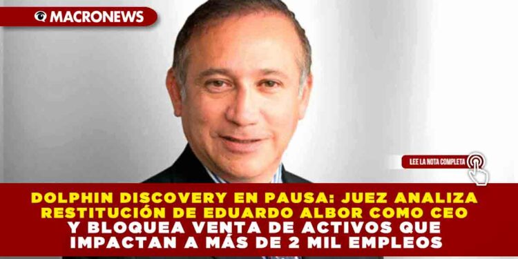 DOLPHIN DISCOVERY EN PAUSA: JUEZ ANALIZA RESTITUCIÓN DE EDUARDO ALBOR COMO CEO Y FRENA VENTA DE ACTIVOS QUE IMPACTAN A MÁS DE 2 MIL EMPLEOS