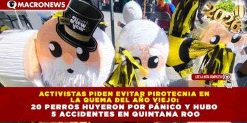 ACTIVISTAS PIDEN EVITAR PIROTECNIA EN LA QUEMA DEL AÑO VIEJO: 20 PERROS HUYERON POR PÁNICO Y HUBO 5 ACCIDENTES EN QUINTANA ROO