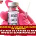 UNAM DESARROLLA VACUNA QUE ELIMINA 100% DE TUMORES Y METÁSTASIS DE CÁNCER DE MAMA EN MODELOS EXPERIMENTALES