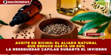 ACEITE DE RICINO: EL ALIADO NATURAL QUE REDUCE HASTA UN 90% LA RESEQUEDAD CAPILAR DURANTE EL INVIERNO