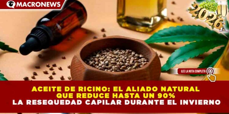 ACEITE DE RICINO: EL ALIADO NATURAL QUE REDUCE HASTA UN 90% LA RESEQUEDAD CAPILAR DURANTE EL INVIERNO