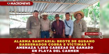 ALARMA SANITARIA: BROTE DE GUSANO BARRENADOR COBRA 5 VÍCTIMAS Y AMENAZA 1,500 CABEZAS DE GANADO EN PLAYA DEL CARMEN