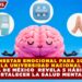 BIENESTAR EMOCIONAL PARA 2026: UNAM REVELA 5 HÁBITOS CLAVE PARA FORTALECER LA SALUD MENTAL DIARIA