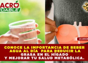HIDRATACIÓN ESTRATÉGICA: LOS 8 VASOS DE AGUA DIARIOS QUE REDUCEN HASTA UN 40% LA GRASA INTRAHEPÁTICA