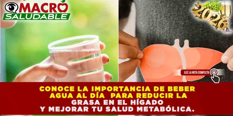 HIDRATACIÓN ESTRATÉGICA: LOS 8 VASOS DE AGUA DIARIOS QUE REDUCEN HASTA UN 40% LA GRASA INTRAHEPÁTICA