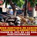 CRISIS SANITARIA EN CANCÚN: TIRADEROS CLANDESTINOS INVADEN EL 40% DE LAS ZONAS HABITACIONALES