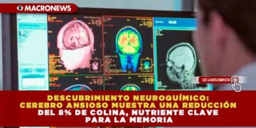 DESCUBRIMIENTO NEUROQUÍMICO: CEREBRO ANSIOSO MUESTRA UNA REDUCCIÓN DEL 8% DE COLINA, NUTRIENTE CLAVE PARA LA MEMORIA
