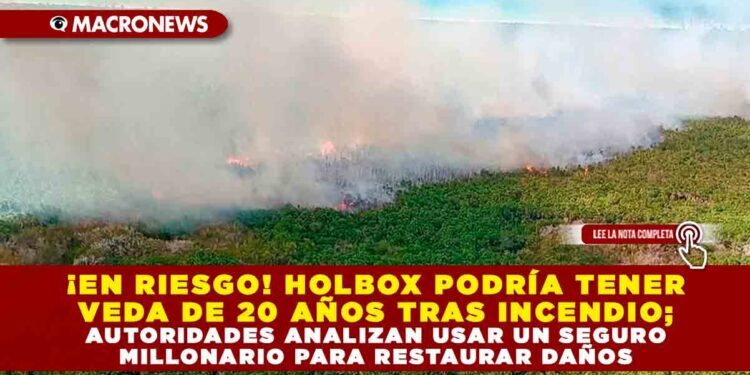 ¡EN RIESGO! HOLBOX PODRÍA TENER VEDA DE 20 AÑOS TRAS INCENDIO; AUTORIDADES ANALIZA USAR UN SEGURO MILLONARIO PARA RESTAURAR DAÑOS