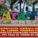 EXPECTATIVA TURÍSTICA EN PLAYA DEL CARMEN: PEQUEÑOS HOTELES PROYECTAN OCUPACIÓN SUPERIOR AL 80% PARA EL CIERRE DE 2025