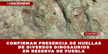 CONFIRMAN PRESENCIA DE HUELLAS DE DIVERSOS DINOSAURIOS EN RESERVA DE PUEBLA
