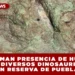 CONFIRMAN PRESENCIA DE HUELLAS DE DIVERSOS DINOSAURIOS EN RESERVA DE PUEBLA