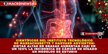 MIT Y HARVARD: DIETAS ALTAS EN GRASAS ELEVAN AL 100% EL RIESGO DE CÁNCER DE HÍGADO EN ESTUDIO