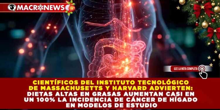 MIT Y HARVARD: DIETAS ALTAS EN GRASAS ELEVAN AL 100% EL RIESGO DE CÁNCER DE HÍGADO EN ESTUDIO