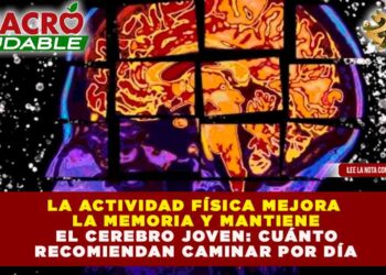 CEREBRO JOVEN Y MAYOR LONGEVIDAD: CAMINAR 4,000 PASOS DIARIOS INCREMENTA EL VOLUMEN CEREBRAL Y REDUCE EL RIESGO DE DEMENCIABeneficios de caminar para el cerebro