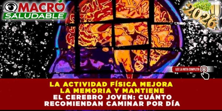 CEREBRO JOVEN Y MAYOR LONGEVIDAD: CAMINAR 4,000 PASOS DIARIOS INCREMENTA EL VOLUMEN CEREBRAL Y REDUCE EL RIESGO DE DEMENCIABeneficios de caminar para el cerebro