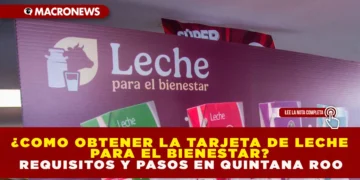 ¿CÓMO OBTENER LA TARJETA DE LECHE PARA EL BIENESTAR? REQUISITOS Y PASOS EN QUINTANA ROO