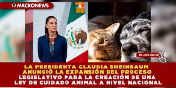 LA PRESIDENTA CLAUDIA SHEINBAUM ANUNCIÓ LA EXPANSIÓN DEL PROCESO LEGISLATIVO PARA LA CREACIÓN DE UNA LEY DE CUIDADO ANIMAL A NIVEL NACIONAL