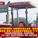 PRODUCTORES AGRÍCOLAS DE CHIHUAHUA, ZACATECAS, GUANAJUATO, AGUASCALIENTES, VERACRUZ, PUEBLA Y TLAXCALA REANUDAN BLOQUEOS EN CARRETERAS Y PUENTES FRONTERIZOS EN PROTESTA CONTRA LA LEY NACIONAL DE AGUAS