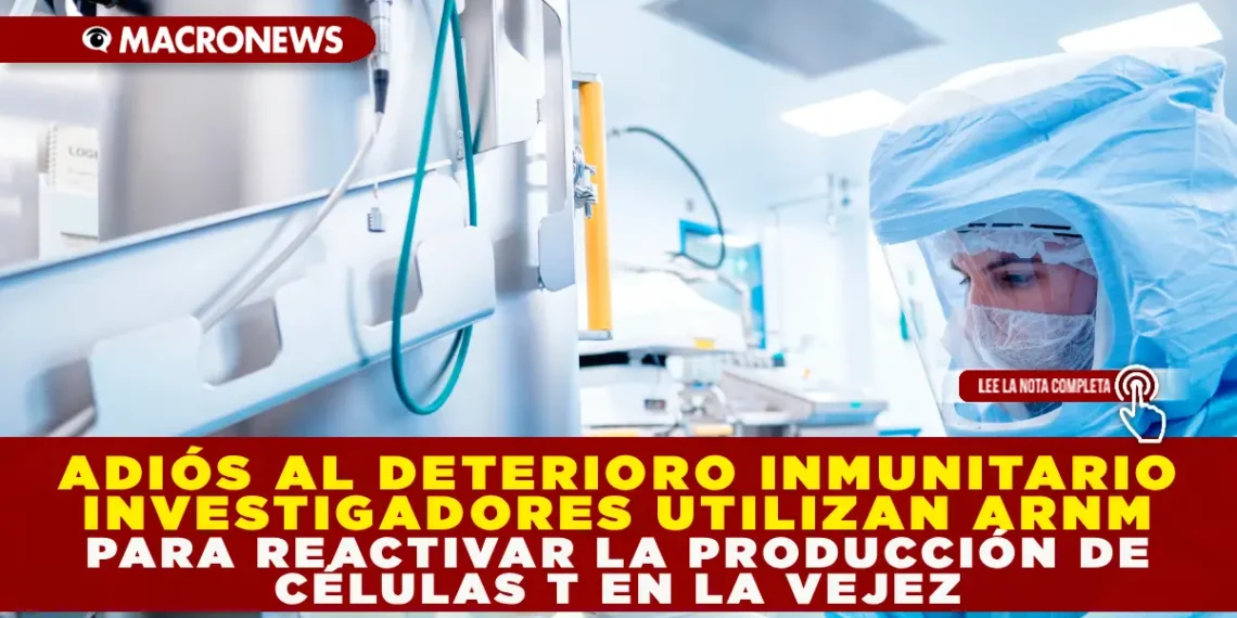 ADIÓS AL DETERIORO INMUNITARIO: INVESTIGADORES UTILIZAN ARNM PARA REACTIVAR LA PRODUCCIÓN DE CÉLULAS T EN LA VEJEZ