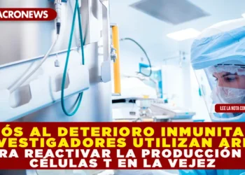 ADIÓS AL DETERIORO INMUNITARIO: INVESTIGADORES UTILIZAN ARNM PARA REACTIVAR LA PRODUCCIÓN DE CÉLULAS T EN LA VEJEZ