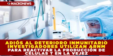 ADIÓS AL DETERIORO INMUNITARIO: INVESTIGADORES UTILIZAN ARNM PARA REACTIVAR LA PRODUCCIÓN DE CÉLULAS T EN LA VEJEZ