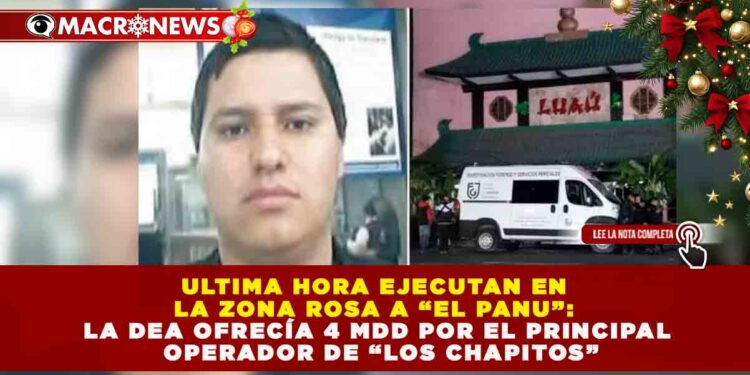 EJECUTAN EN LA ZONA ROSA A “EL PANU”: LA DEA OFRECÍA 4 MDD POR EL PRINCIPAL OPERADOR DE “LOS CHAPITOS”