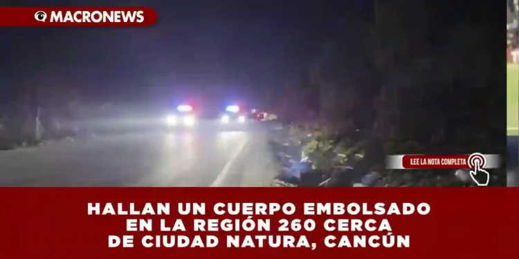 HALLAN UN CUERPO EMBOLSADO EN LA REGIÓN 260 CERCA DE CIUDAD NATURA, CANCÚN
