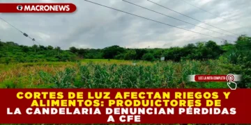 CORTES DE LUZ AFECTAN RIEGO Y ALIMENTOS: PRODUCTORES DE LA CANDELARIA DENUNCIAN PÉRDIDAS A CFE