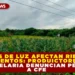 CORTES DE LUZ AFECTAN RIEGO Y ALIMENTOS: PRODUCTORES DE LA CANDELARIA DENUNCIAN PÉRDIDAS A CFE