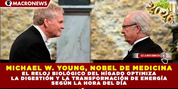 MICHAEL W. YOUNG, NOBEL DE MEDICINA: EL RELOJ BIOLÓGICO DEL HÍGADO OPTIMIZA LA DIGESTIÓN Y LA TRANSFORMACIÓN DE ENERGÍA SEGÚN LA HORA DEL DÍA
